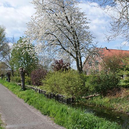 Gastenverblijf De Natureluur Noorden Екстериор снимка